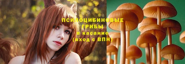стафф Алексеевка