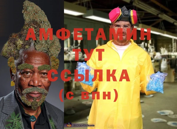стаф Абаза