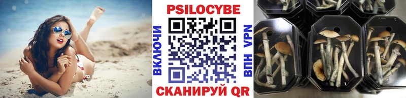 Галлюциногенные грибы мицелий  Томари 